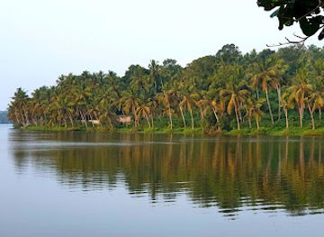 india/kovalam/attraction/vellayani-lake-view