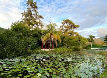jamaica/kingston/attraction/the-chinese-garden