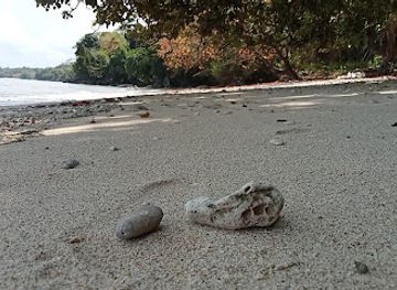 indonesia/pulau-bunaken/attraction/pantai-keluarga