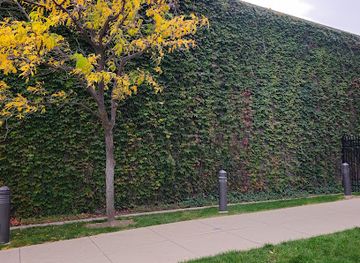 utah/ogden/attraction/ivy-photo-wall