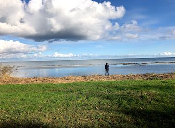 denmark/koge/attraction/strandskov