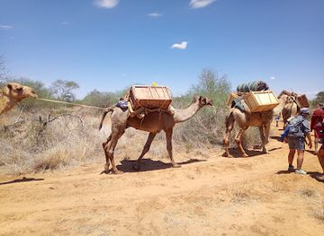 kenya/chyulu-hills/attraction/olgulului-camping-lake