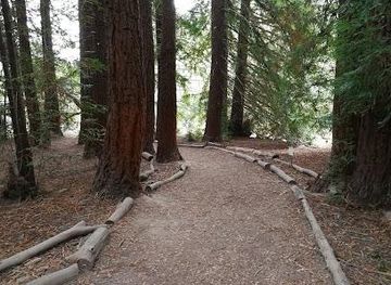 california/san-ramon/attraction/reinhardt-redwood-regional-park-redwood-gate