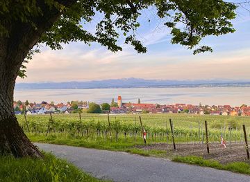 germany/lake-constance/attraction/wilhelmshohe-hagnau
