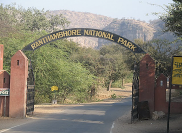 india/ranthambore/attraction/the-ranthambore-tiger