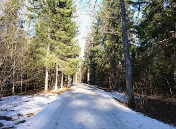 estonia/otepaa-ski-resort/attraction/murrumetsa-matkarada