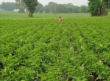 india/madhya-pradesh/attraction/singham-kalawat