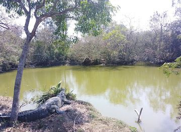 india/sundarbans/attraction/bhagabatpur-crocodile-project