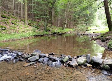 pennsylvania/allegheny-national-forest/attraction/clear-creek-state-park