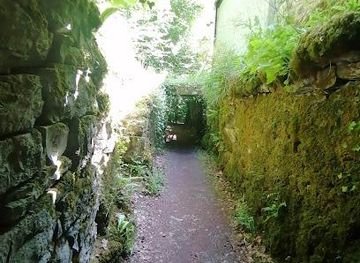 ireland/westport/attraction/pigeon-hole-wood