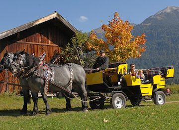 austria/wipptal/attraction/fiakerei-neuner