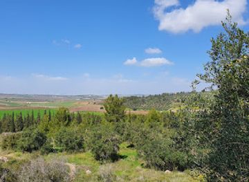israel/modi-in/attraction/ben-shemen-forest