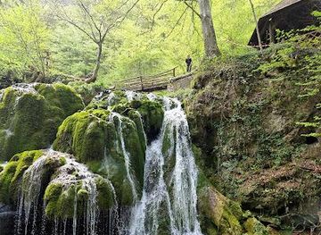 romania/cheile-nerei-national-park/attraction/bigar-cascade-falls