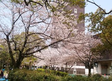 japan/fukuoka/tenjin/attraction/suzaki-park