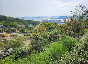 south-korea/south-gyeongsang-province/attraction/jinhae-botanical-museum