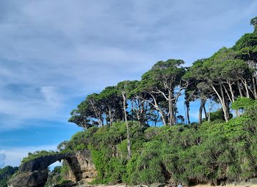 india/andaman-and-nicobar-islands/attraction/natural-bridge