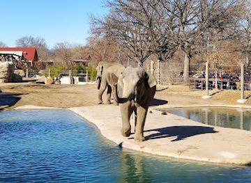 colorado/denver/attraction/denver-zoo