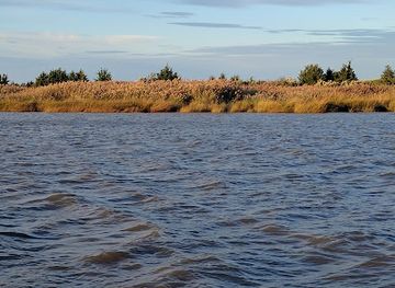 delaware/bombay-hook-national-wildlife-refuge/attraction/cedar-swamp-state-wildlife-management-area