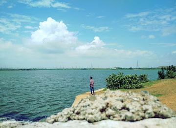 india/central-india/attraction/rajnagar-lake