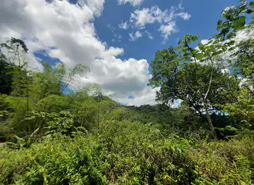 Salto Curet