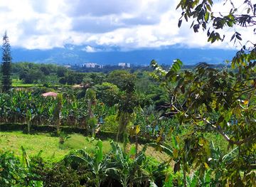 colombia/armenia/attraction/canopy-los-caracolies