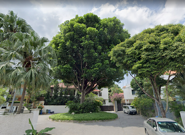 singapore/bukit-timah/attraction/great-shelford-tree