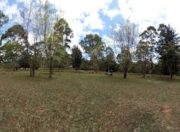 kenya/nyandarua-range/attraction/olkalou-arboretum