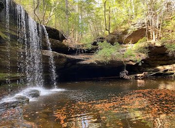 alabama/dismals-canyon/attraction/bankhead-national-forest