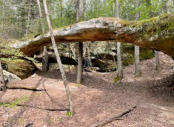 kentucky/big-south-fork-national-river-and-recreation-area/attraction/needle-point-arch