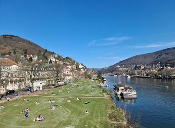 germany/heidelberg/attraction/neckarwiese