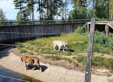 sweden/angermanland/attraction/junsele-zoo