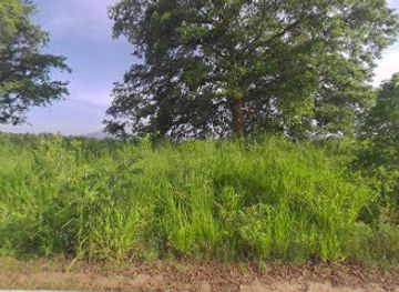 sri-lanka/north-western-province/attraction/wewkotuwa-wewa