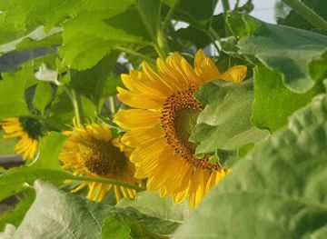 benin/ganvie-village/attraction/l-anastasie