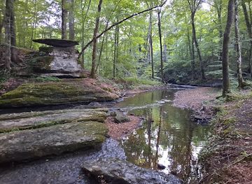 tennessee/mississippi-delta/attraction/glenrock-branch