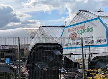 united-kingdom/norwich/attraction/maidenhead-aquatics-norwich