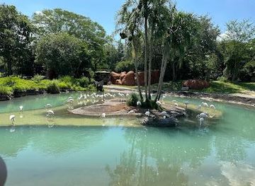 florida/orlando/attraction/kilimanjaro-safaris