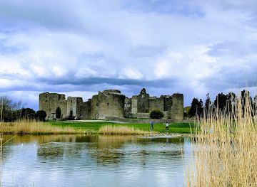 ireland/county-roscommon/attraction/loughnaneane-park