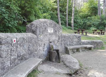 hungary/bakony/attraction/laczko-forras