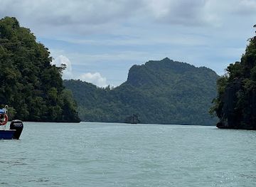 malaysia/langkawi-archipelago/attraction/azizi-mangrove-tours