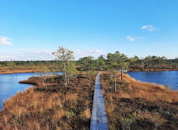 estonia/soomaa-national-park/attraction/hupassaare-opperada