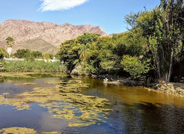 south-africa/breede-river-valley/attraction/protea-farm-tractor-trip-booking-office