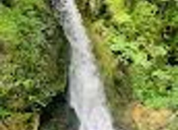 new-zealand/tauranga/attraction/mclaren-s-falls-waterfall-loop