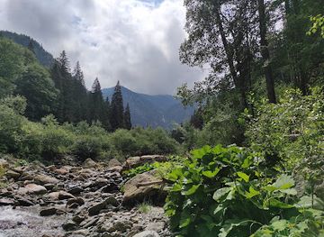 romania/retezat-national-park/attraction/cascada-scurtele