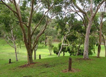 australia/limestone-coast/attraction/browne-lake-kroweratwari