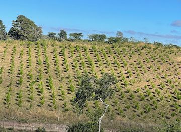 nicaragua/esteli-cigar-tours/attraction/colinas-de-la-virgen