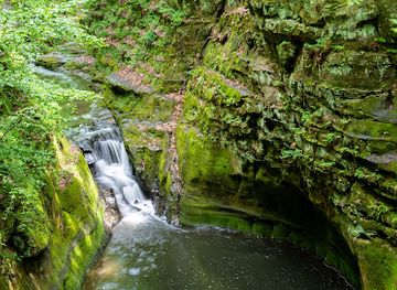 Pewit's Nest