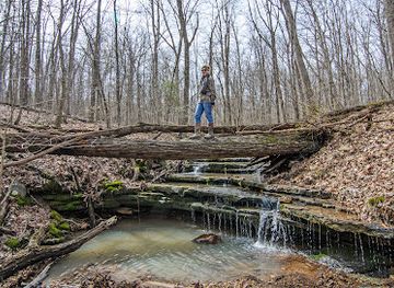 illinois/ferne-clyffe-state-park/attraction/panther-den-wilderness