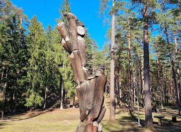latvia/teici-nature-reserve/attraction/koka-figuru-laukums