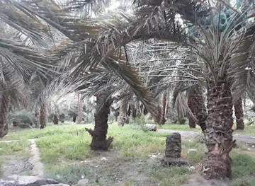 Garden of Healing Sand