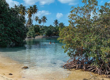 puerto-rico/cabo-rojo/attraction/playa-ostiones